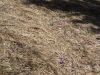 DSC00047.JPG