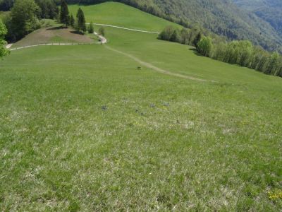 Kliknite za ogled večje slike
