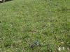 DSC00183.JPG