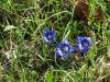 DSC00184.JPG