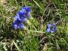 DSC00185.JPG