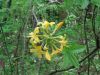 DSC00200.JPG