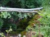 DSC00596.JPG