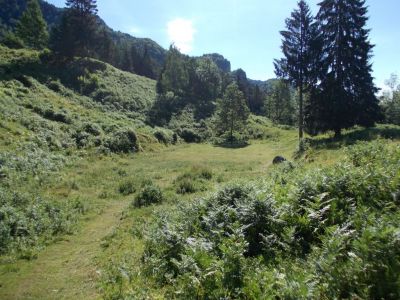 Kliknite za ogled večje slike