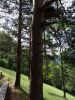 DSC00649.JPG