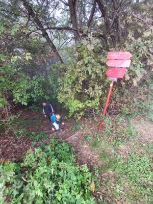 Kliknite za ogled večje slike