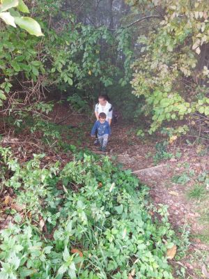 Kliknite za ogled večje slike