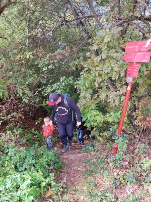 Kliknite za ogled večje slike