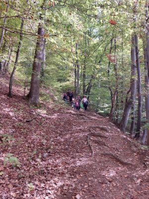 Kliknite za ogled večje slike