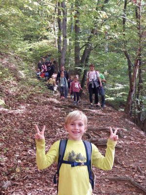 Kliknite za ogled večje slike