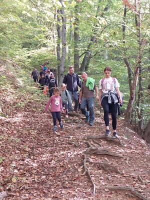 Kliknite za ogled večje slike