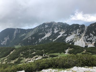 Kliknite za ogled večje slike