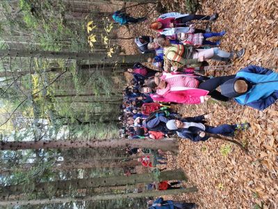 Kliknite za ogled večje slike