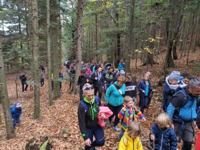 Kliknite za ogled večje slike