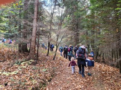 Kliknite za ogled večje slike