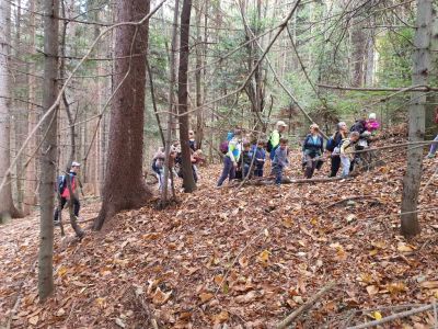 Kliknite za ogled večje slike