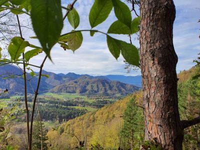 Kliknite za ogled večje slike