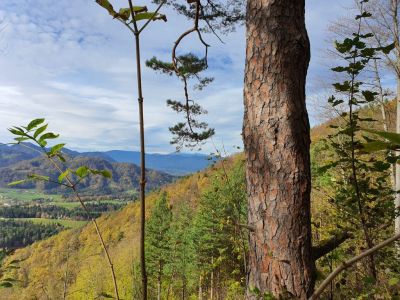 Kliknite za ogled večje slike