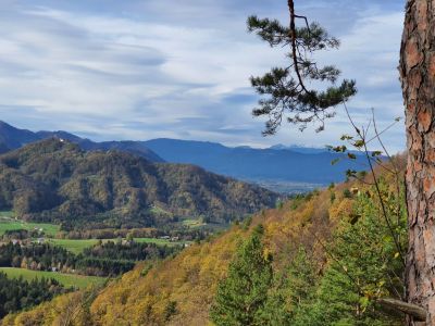 Kliknite za ogled večje slike