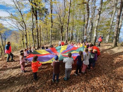 Kliknite za ogled večje slike