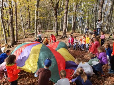 Kliknite za ogled večje slike