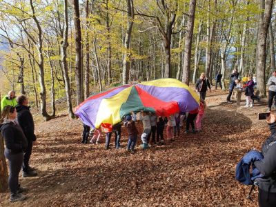 Kliknite za ogled večje slike
