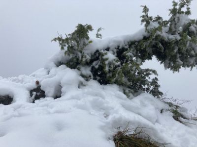 Kliknite za ogled večje slike