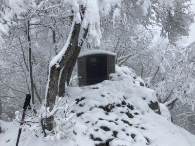 Kliknite za ogled večje slike