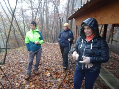 Kliknite za ogled večje slike