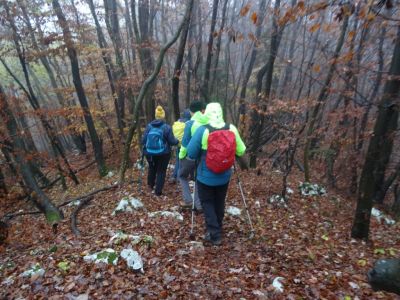 Kliknite za ogled večje slike