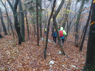 Kliknite za ogled večje slike