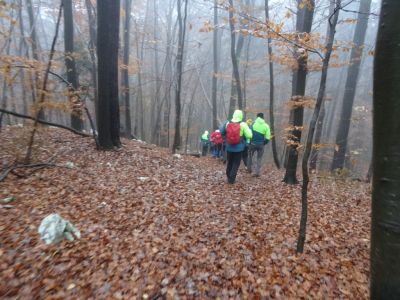 Kliknite za ogled večje slike