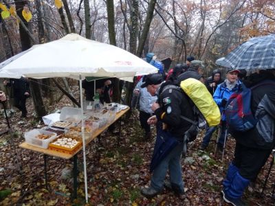 Kliknite za ogled večje slike