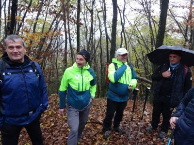 Kliknite za ogled večje slike