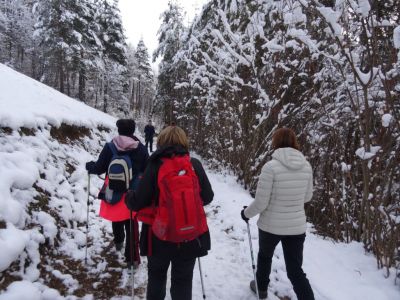 Kliknite za ogled večje slike