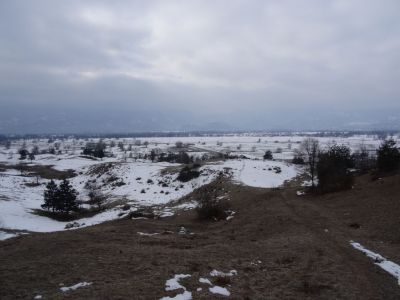 Kliknite za ogled večje slike