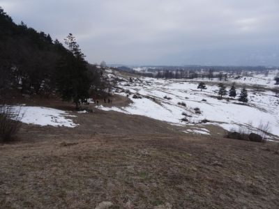 Kliknite za ogled večje slike