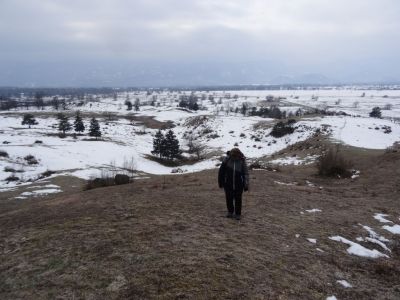Kliknite za ogled večje slike