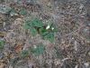 DSC01892.JPG