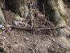 DSC01935.JPG