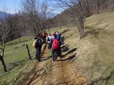 Kliknite za ogled večje slike