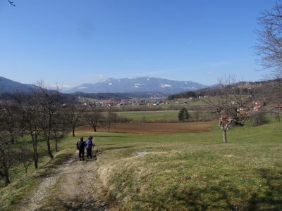Kliknite za ogled večje slike