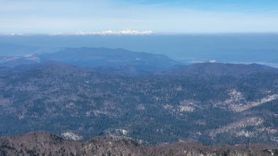 Kliknite za ogled večje slike