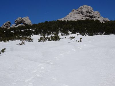 Kliknite za ogled večje slike
