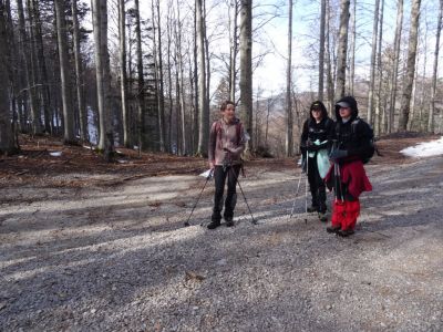 Kliknite za ogled večje slike