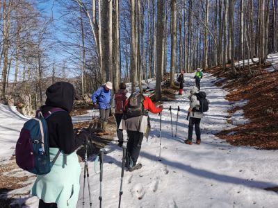 Kliknite za ogled večje slike