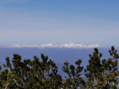 Kliknite za ogled večje slike