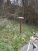 DSC02033.JPG