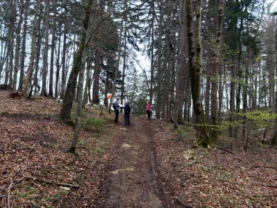 Kliknite za ogled večje slike