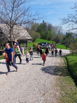 Kliknite za ogled večje slike